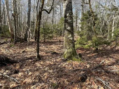 MAP8LOT6 Camp Prospect ME 04981