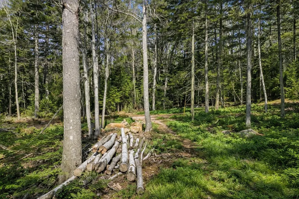 Lot E Fiske Lane Bristol ME 04539