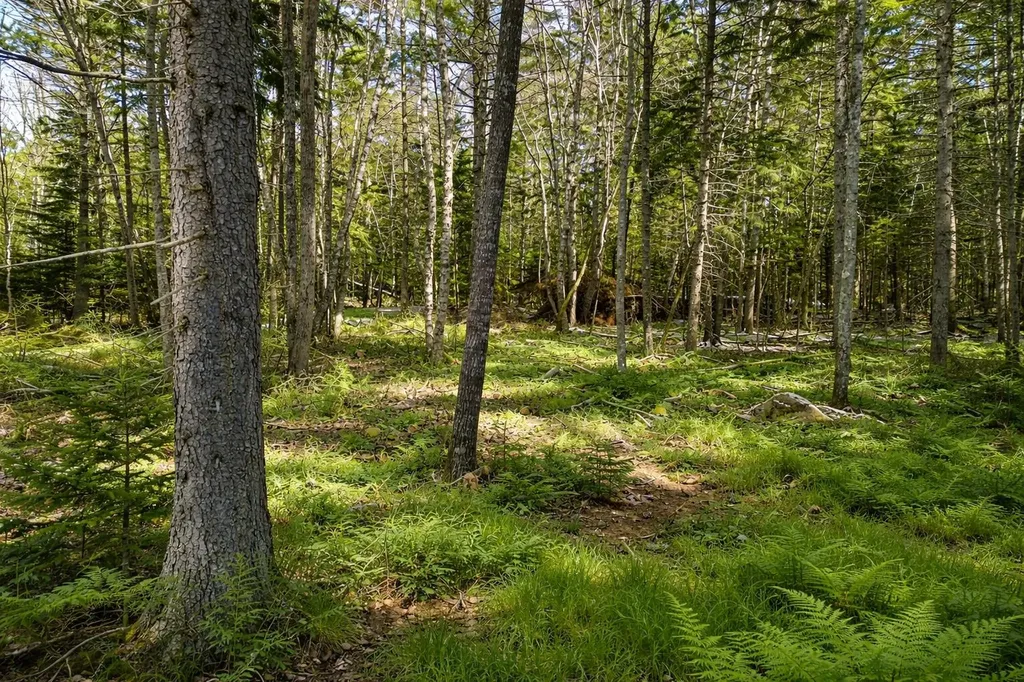 Lot E Fiske Lane Bristol ME 04539