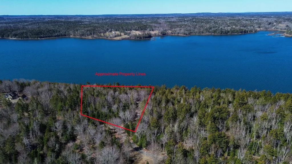 9 Raft Cove Road Trescott Twp ME 04652