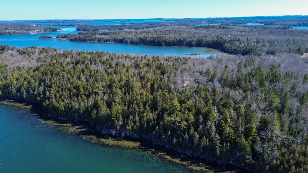 9 Raft Cove Road Trescott Twp ME 04652