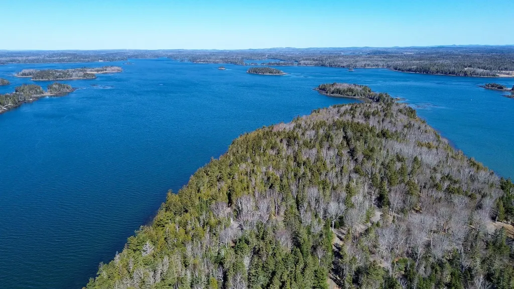 9 Raft Cove Road Trescott Twp ME 04652