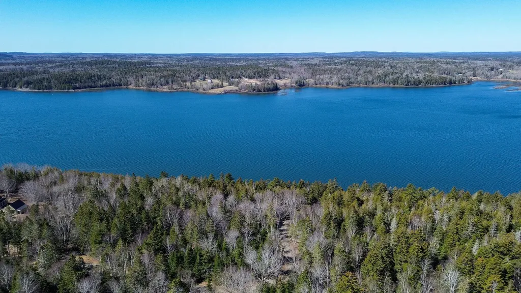 9 Raft Cove Road Trescott Twp ME 04652