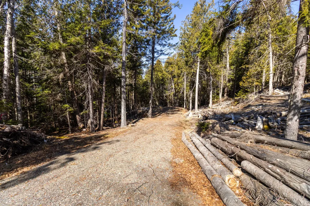 9 Raft Cove Road Trescott Twp ME 04652