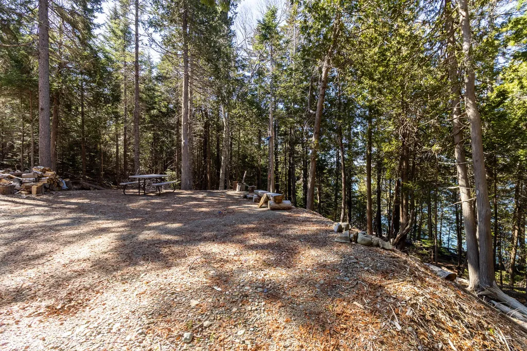 9 Raft Cove Road Trescott Twp ME 04652
