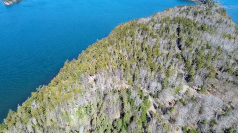 9 Raft Cove Road Trescott Twp ME 04652