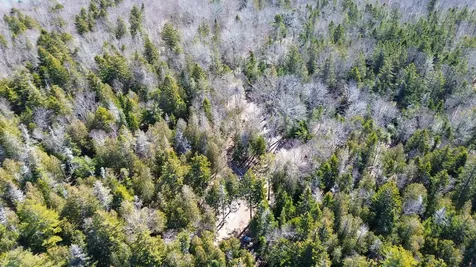 9 Raft Cove Road Trescott Twp ME 04652