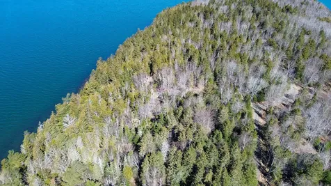 9 Raft Cove Road Trescott Twp ME 04652