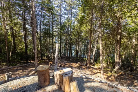 9 Raft Cove Road Trescott Twp ME 04652