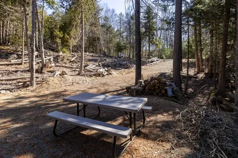 9 Raft Cove Road Trescott Twp ME 04652
