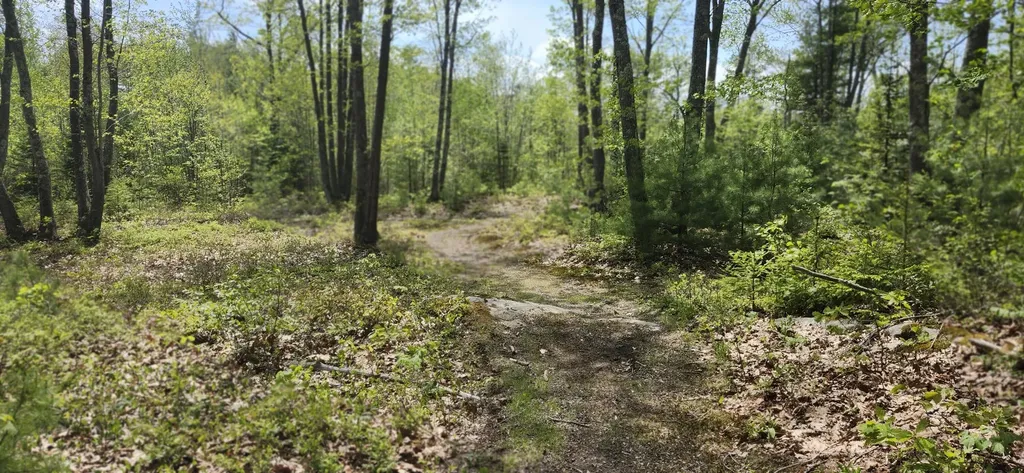 22 Walkers Lane Kennebunkport ME 04046