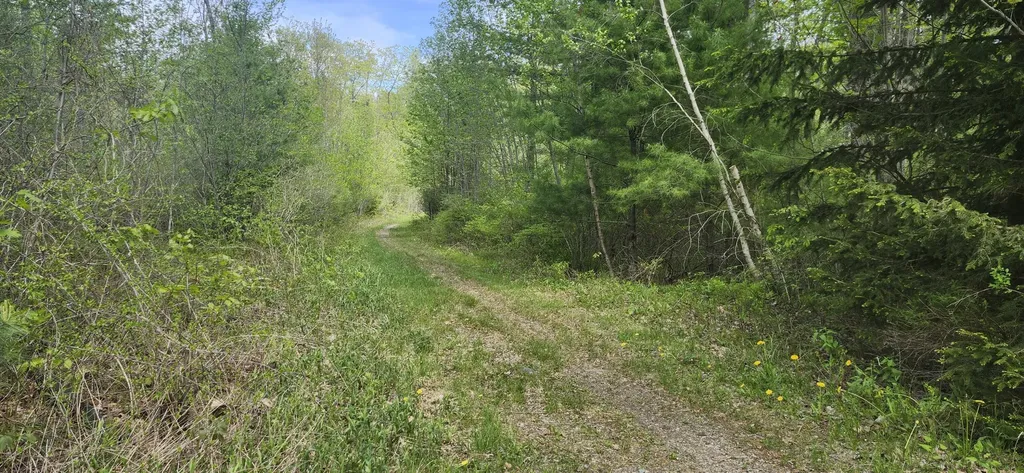 22 Walkers Lane Kennebunkport ME 04046