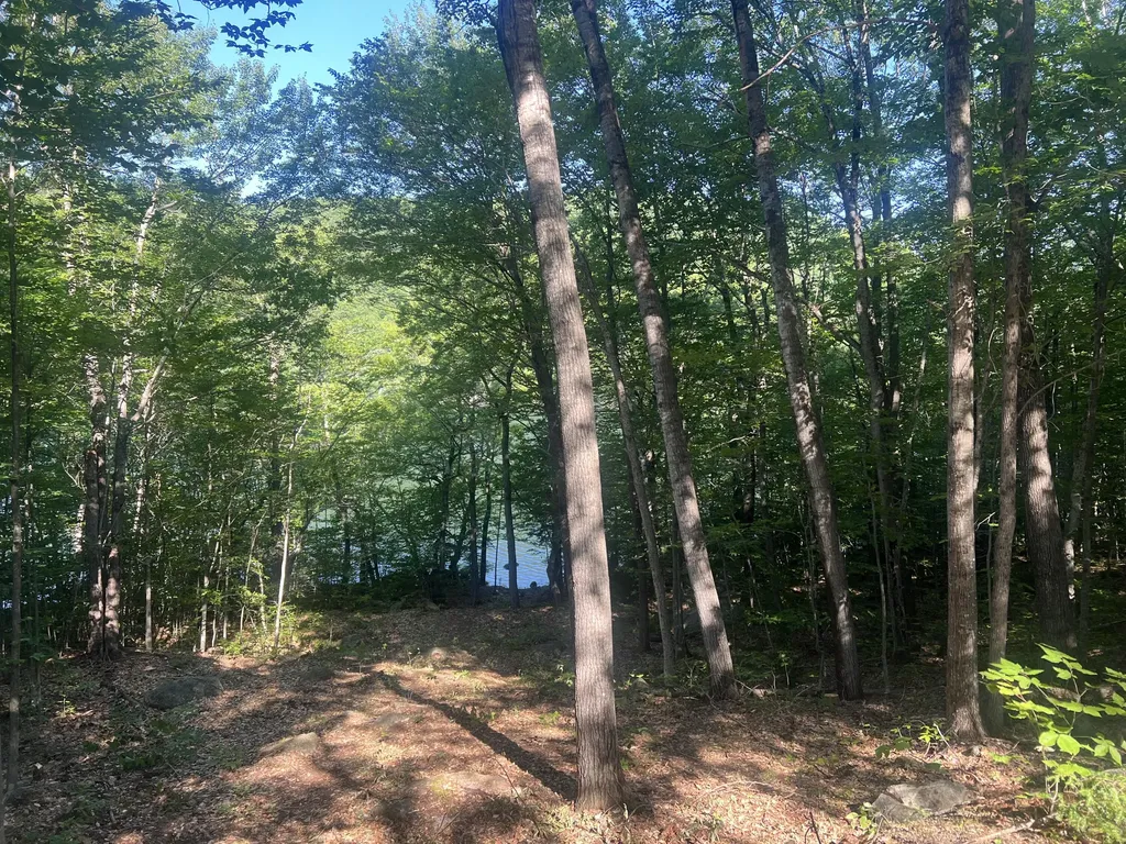 116 S Pond Shore Lane Greenwood ME 04255