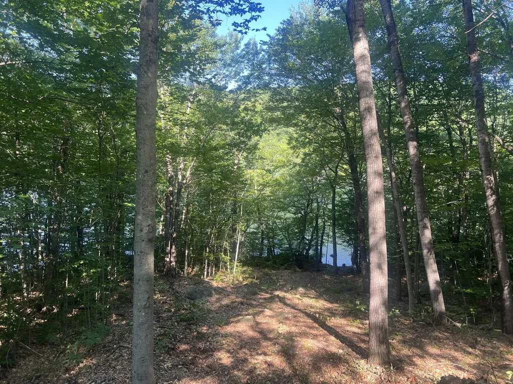 116 S Pond Shore Lane Greenwood ME 04255