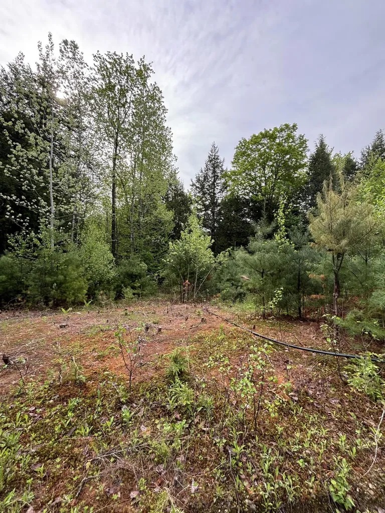 7 Bog Brook Loop West Paris ME 04289