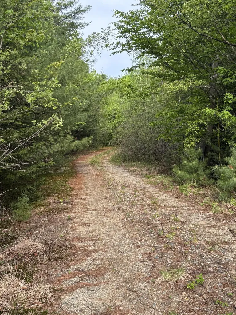 7 Bog Brook Loop West Paris ME 04289