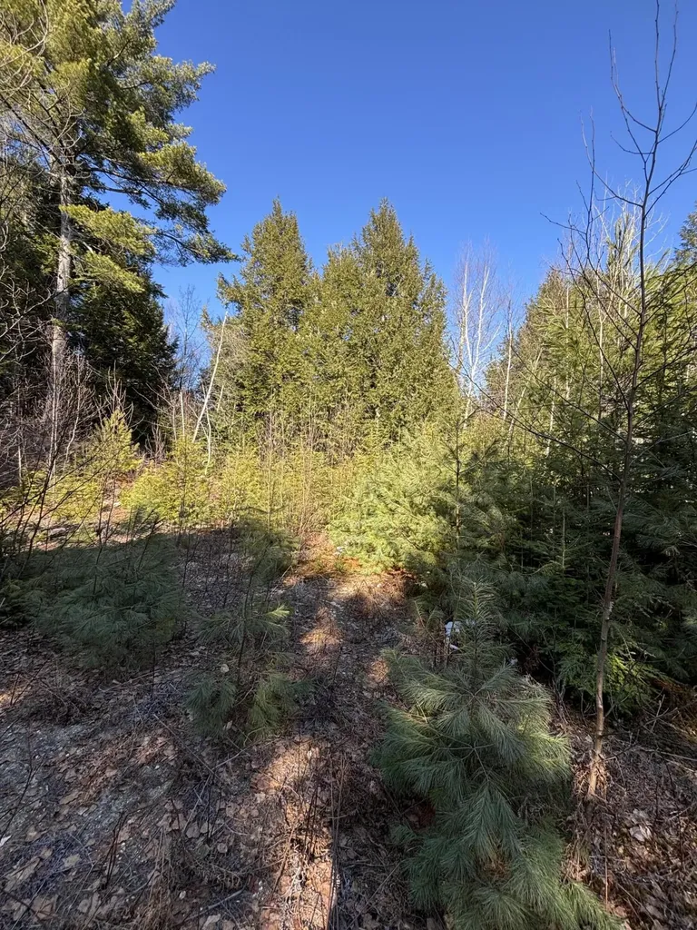 7 Bog Brook Loop West Paris ME 04289