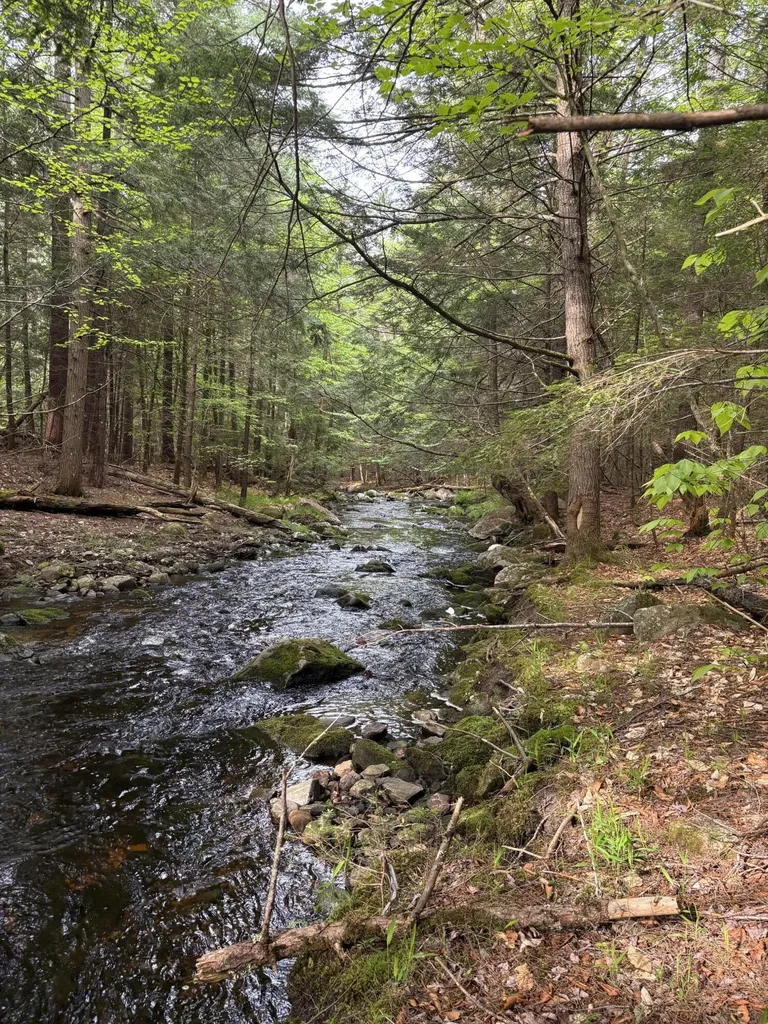 7 Bog Brook Loop West Paris ME 04289