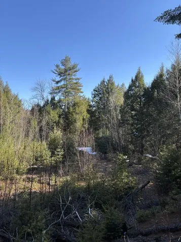 7 Bog Brook Loop West Paris ME 04289
