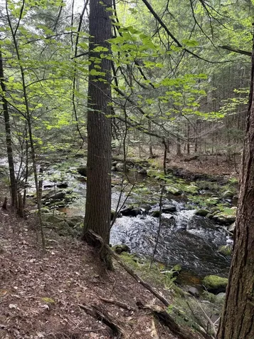 7 Bog Brook Loop West Paris ME 04289