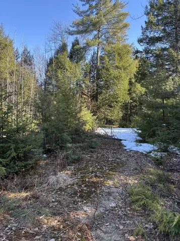 7 Bog Brook Loop West Paris ME 04289