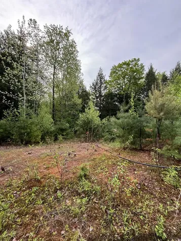 7 Bog Brook Loop West Paris ME 04289