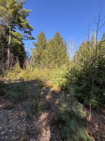 7 Bog Brook Loop West Paris ME 04289