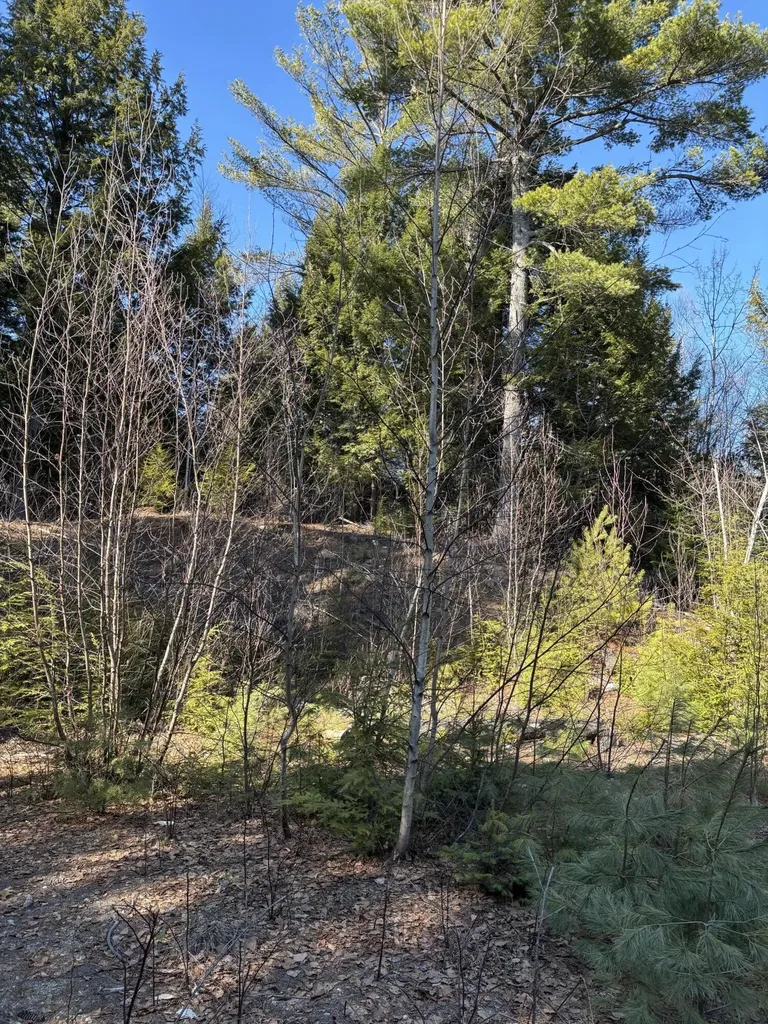 6 Bog Brook Loop West Paris ME 04289