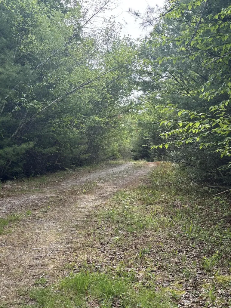 6 Bog Brook Loop West Paris ME 04289