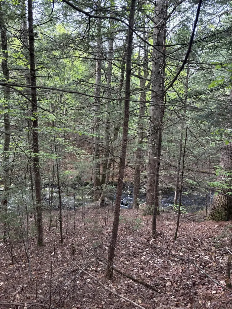 6 Bog Brook Loop West Paris ME 04289