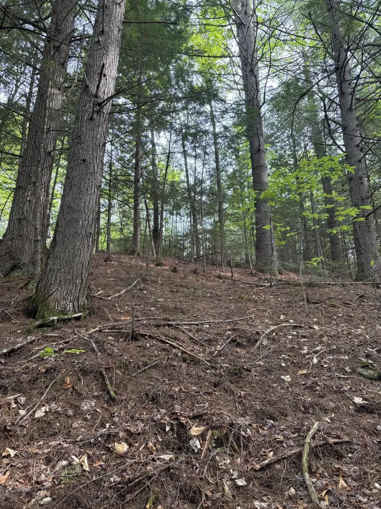 6 Bog Brook Loop West Paris ME 04289