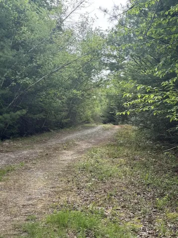 6 Bog Brook Loop West Paris ME 04289