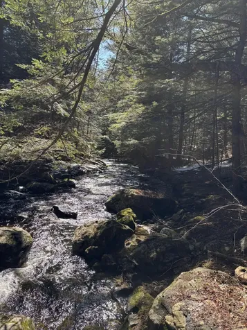 6 Bog Brook Loop West Paris ME 04289