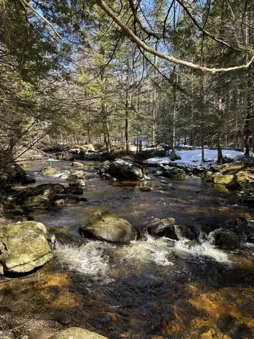 6 Bog Brook Loop West Paris ME 04289