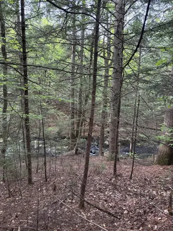 6 Bog Brook Loop West Paris ME 04289
