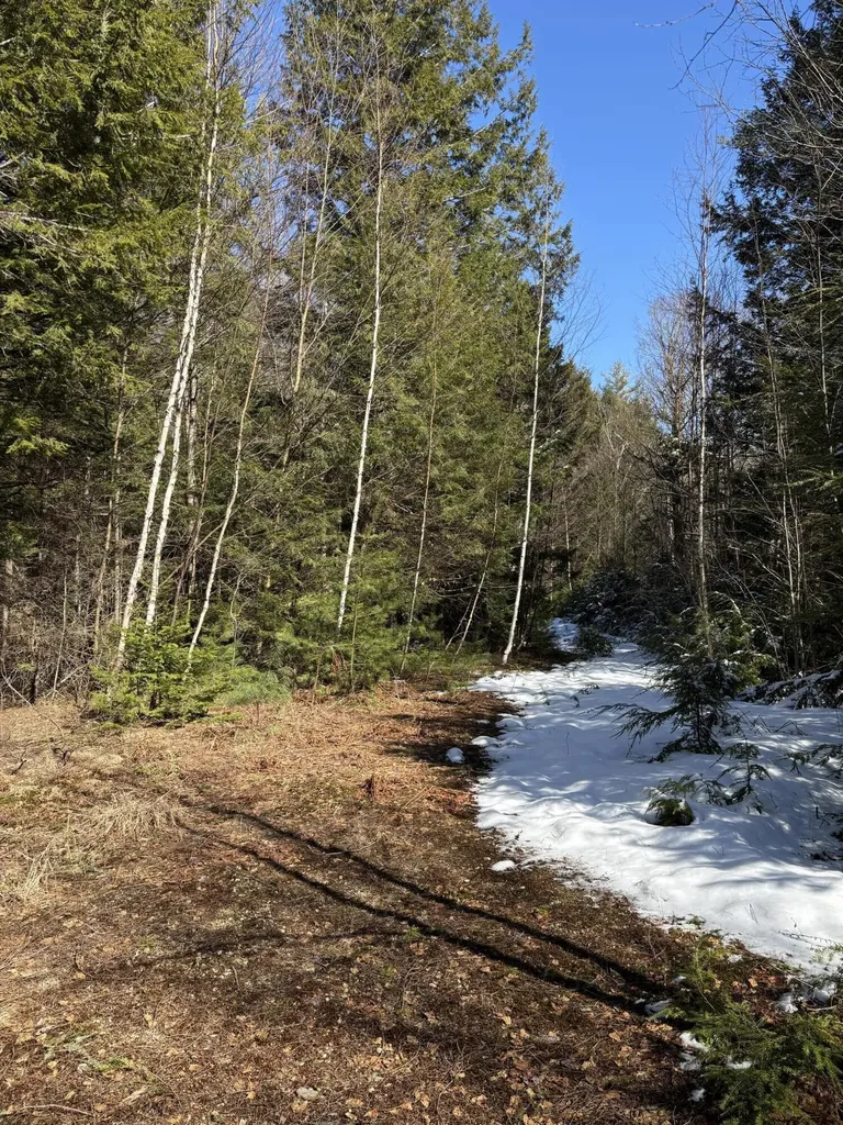 4 Bog Brook Loop West Paris ME 04289