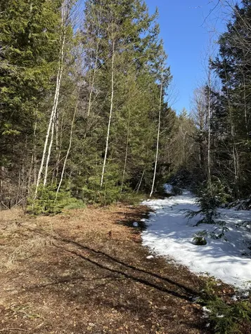 4 Bog Brook Loop West Paris ME 04289