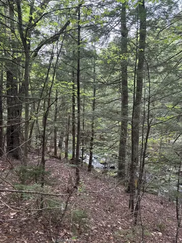 4 Bog Brook Loop West Paris ME 04289