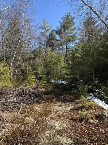 4 Bog Brook Loop West Paris ME 04289