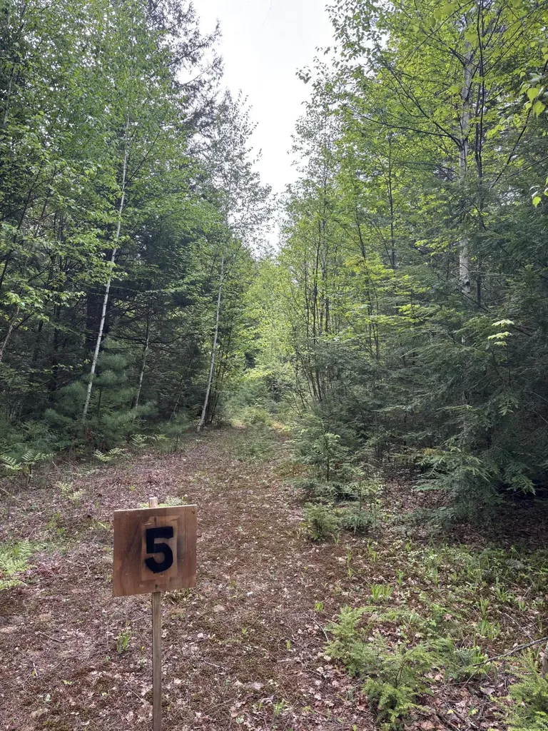 5 Bog Brook Loop West Paris ME 04289