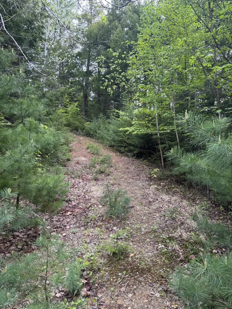 5 Bog Brook Loop West Paris ME 04289