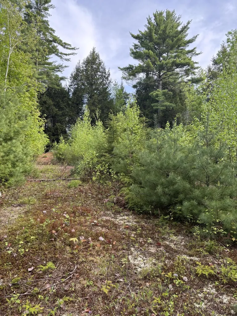 5 Bog Brook Loop West Paris ME 04289
