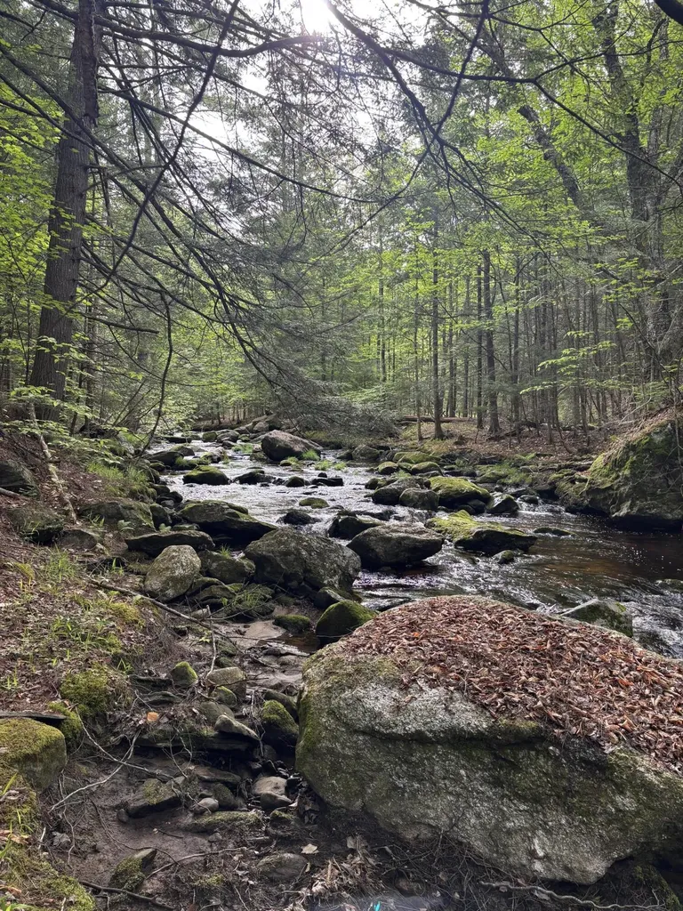 5 Bog Brook Loop West Paris ME 04289