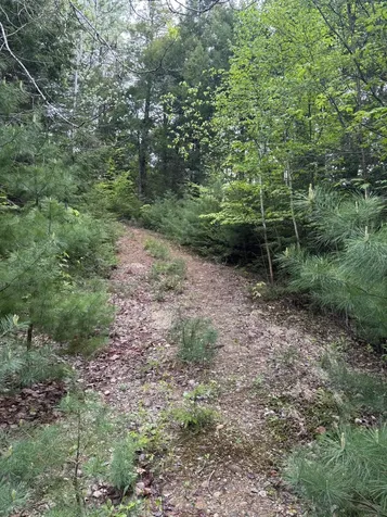 5 Bog Brook Loop West Paris ME 04289