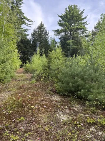 5 Bog Brook Loop West Paris ME 04289
