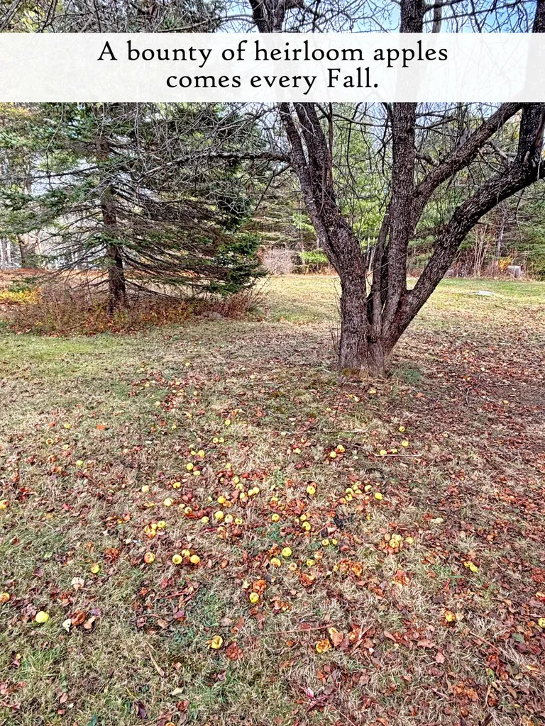 313 East Side Road Sorrento ME 04677