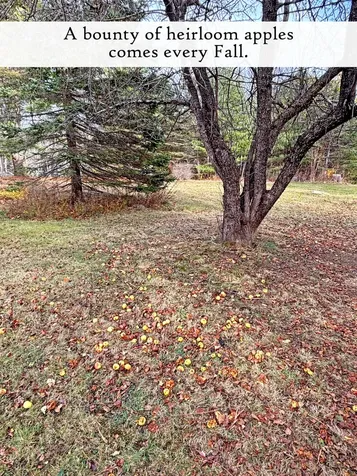 313 East Side Road Sorrento ME 04677