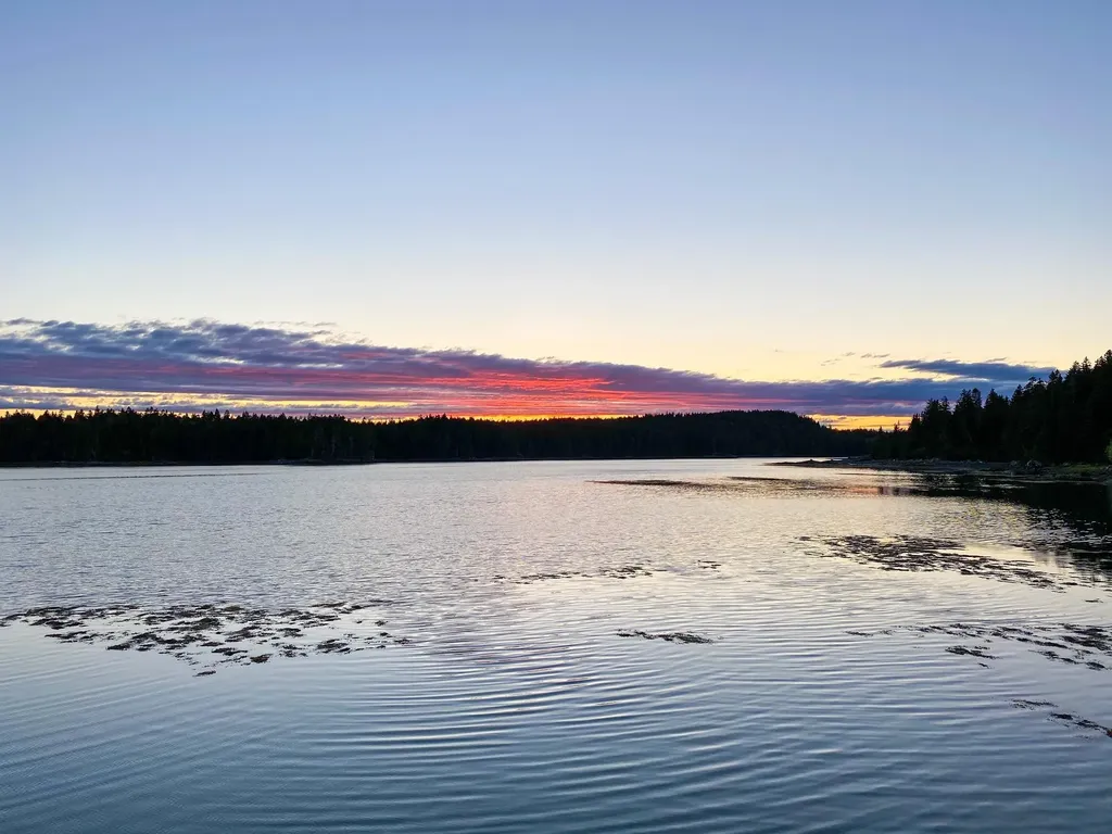 Lot 20-5-1 Collins Cove Road Machiasport ME 04655