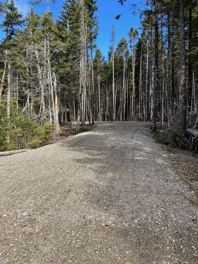 Lot 20-5-1 Collins Cove Road Machiasport ME 04655