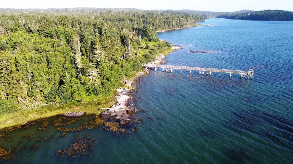 Lot 20-5-1 Collins Cove Road Machiasport ME 04655